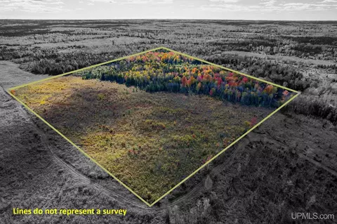 tbd Off Kingsley #3, Cornell, MI 49818