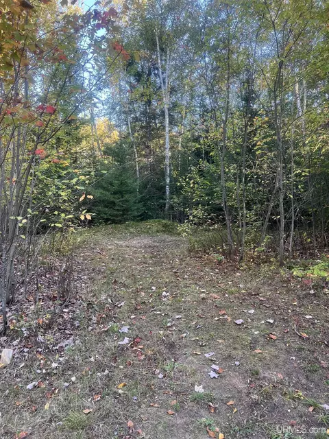 160 Sandy, Harvey, MI 49855