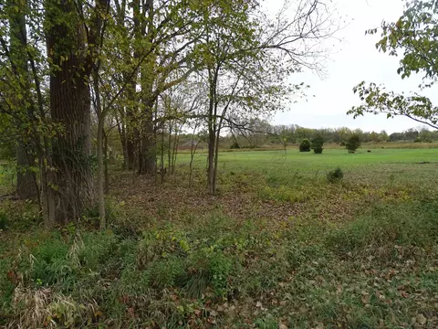 0 Mcneil #PARCEL C, Tecumseh, MI 49286 photo 2