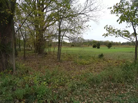 0 Mcneil #PARCEL C, Tecumseh, MI 49286