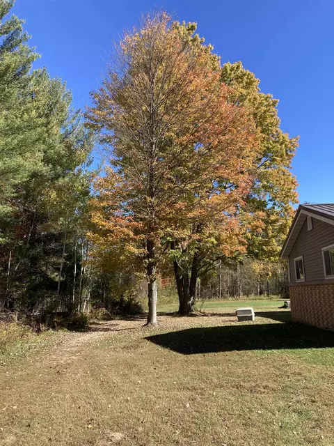 Exterior - 3748 Fitzwater, Gladwin, MI 48624 photo 12 of 16