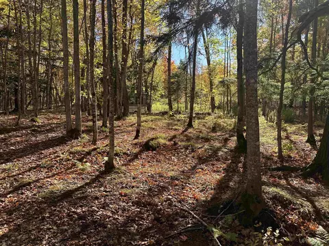 tbd Remington, Marquette, MI 49855