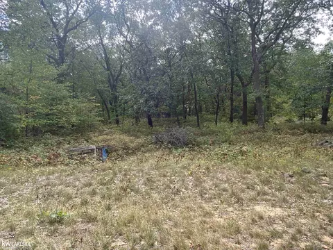 00 Port Austin, Caseville, MI 48725