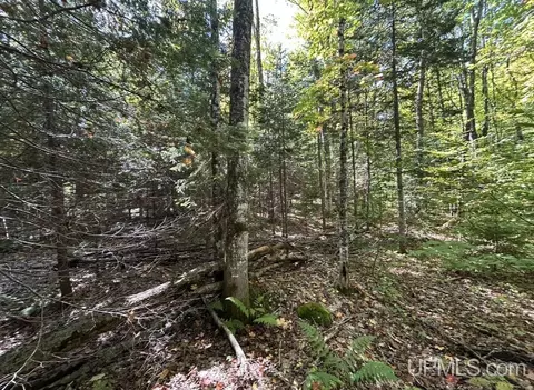 40 Acres Mosquito Stub, Shingleton, MI 49884 photo 11
