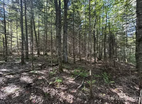 40 Acres Mosquito Stub, Shingleton, MI 49884 photo 13