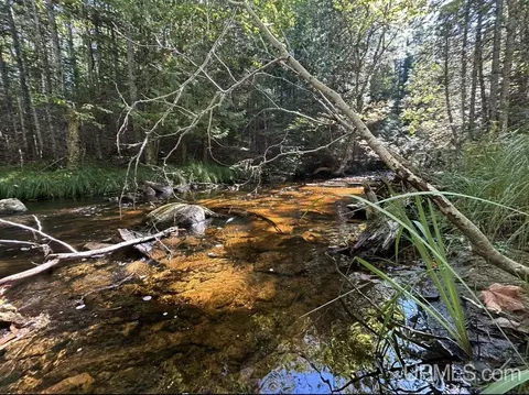 40 Acres Mosquito Stub, Shingleton, MI 49884