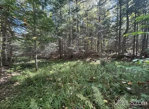 40 Acres Mosquito Stub, Shingleton, MI 49884 photo 23