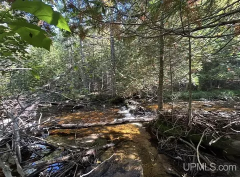 40 Acres Mosquito Stub, Shingleton, MI 49884 photo 3