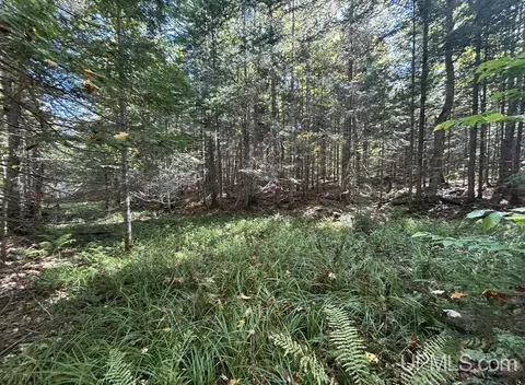40 Acres Mosquito Stub, Shingleton, MI 49884 photo 4