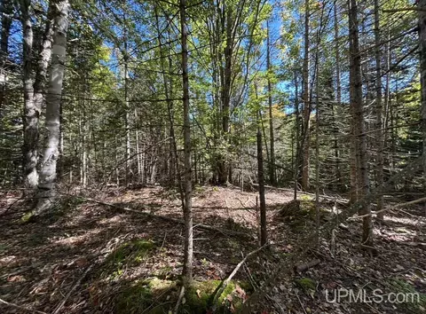 40 Acres Mosquito Stub, Shingleton, MI 49884 photo 7