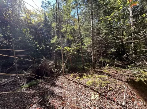 40 Acres Mosquito Stub, Shingleton, MI 49884 photo 15