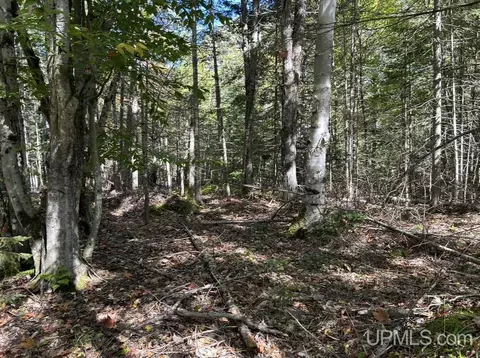40 Acres Mosquito Stub, Shingleton, MI 49884 photo 21