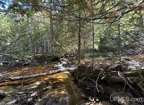 40 Acres Mosquito Stub, Shingleton, MI 49884 photo 6