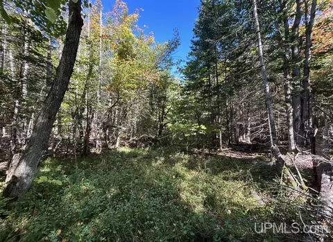 40 Acres Mosquito Stub, Shingleton, MI 49884 photo 8