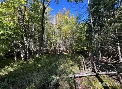 40 Acres Mosquito Stub, Shingleton, MI 49884 photo 19