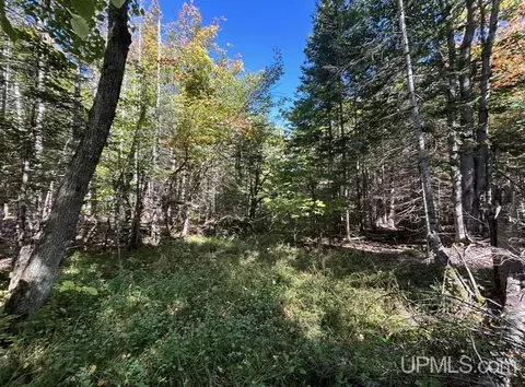 40 Acres Mosquito Stub, Shingleton, MI 49884 photo 17
