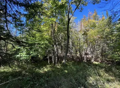 40 Acres Mosquito Stub, Shingleton, MI 49884 photo 18