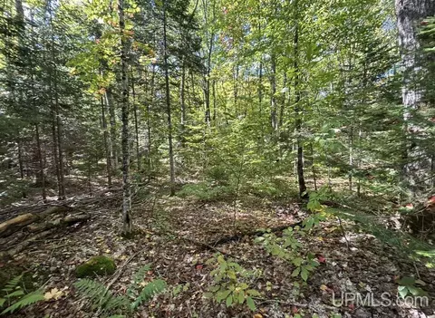 40 Acres Mosquito Stub, Shingleton, MI 49884 photo 12
