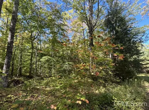 40 Acres Mosquito Stub, Shingleton, MI 49884 photo 10