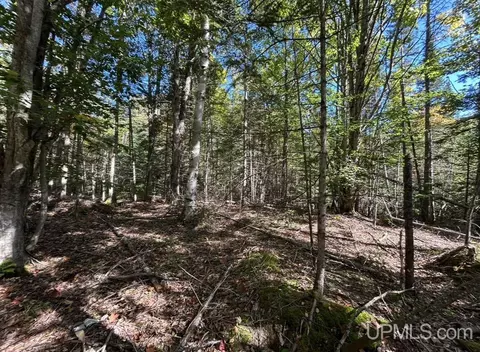 40 Acres Mosquito Stub, Shingleton, MI 49884 photo 14