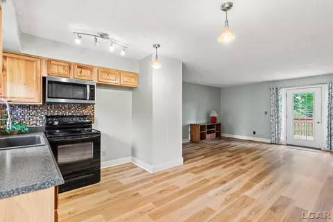 403 Seminole, Tecumseh, MI 49286 photo 12