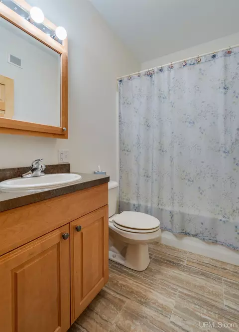 9699 0025, Cooks, MI 49817 photo 26