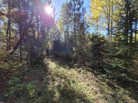 40 Acres Leeman, Ralph, MI 49877 photo 51
