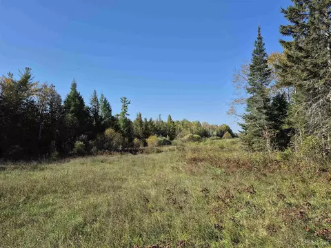 40 Acres Leeman, Ralph, MI 49877 photo 41