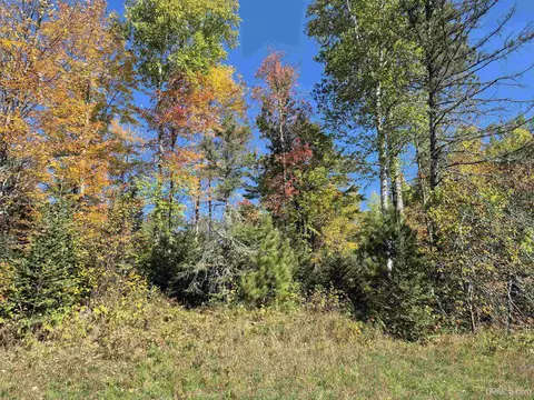 40 Acres Leeman, Ralph, MI 49877 photo 29