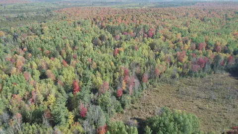 40 Acres Leeman, Ralph, MI 49877 photo 79