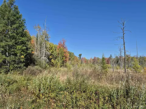 40 Acres Leeman, Ralph, MI 49877 photo 32
