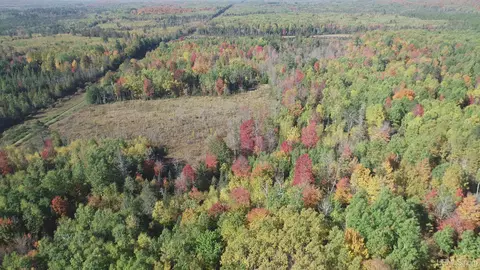 40 Acres Leeman, Ralph, MI 49877 photo 71