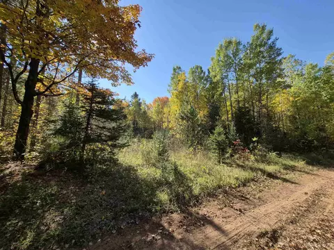 40 Acres Leeman, Ralph, MI 49877 photo 57