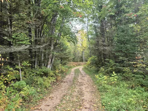 40 Acres Leeman, Ralph, MI 49877 photo 8