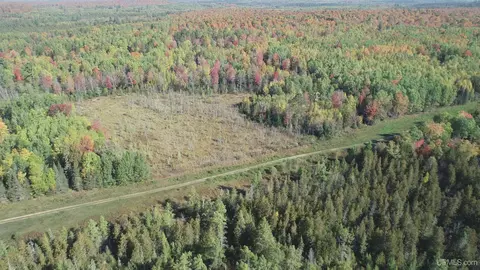 40 Acres Leeman, Ralph, MI 49877 photo 64