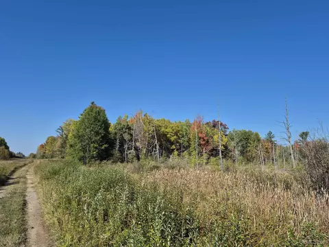 40 Acres Leeman, Ralph, MI 49877 photo 33