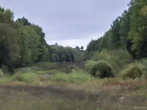 40 Acres Leeman, Ralph, MI 49877 photo 22
