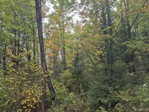 40 Acres Leeman, Ralph, MI 49877 photo 15