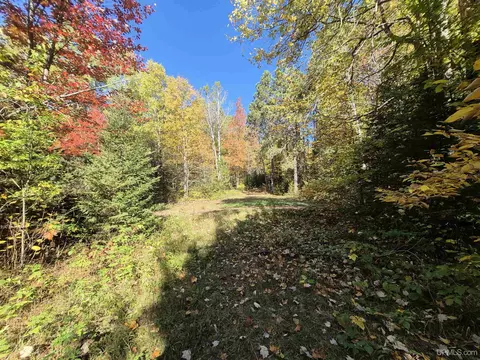 40 Acres Leeman, Ralph, MI 49877 photo 53