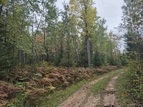 40 Acres Leeman, Ralph, MI 49877 photo 9