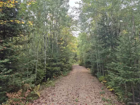 40 Acres Leeman, Ralph, MI 49877 photo 13