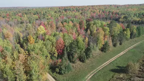 40 Acres Leeman, Ralph, MI 49877 photo 61