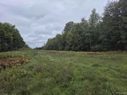 40 Acres Leeman, Ralph, MI 49877 photo 5