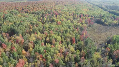 40 Acres Leeman, Ralph, MI 49877 photo 78