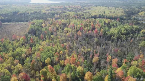 40 Acres Leeman, Ralph, MI 49877 photo 75