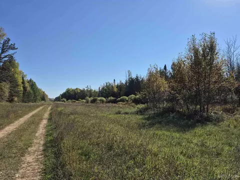 40 Acres Leeman, Ralph, MI 49877 photo 27