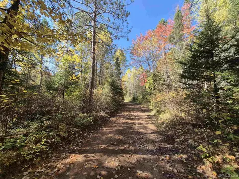 40 Acres Leeman, Ralph, MI 49877 photo 55