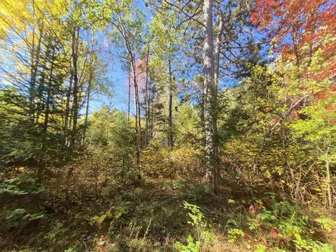 40 Acres Leeman, Ralph, MI 49877 photo 52