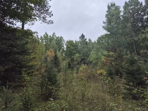 40 Acres Leeman, Ralph, MI 49877 photo 19