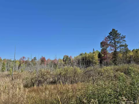 40 Acres Leeman, Ralph, MI 49877 photo 35